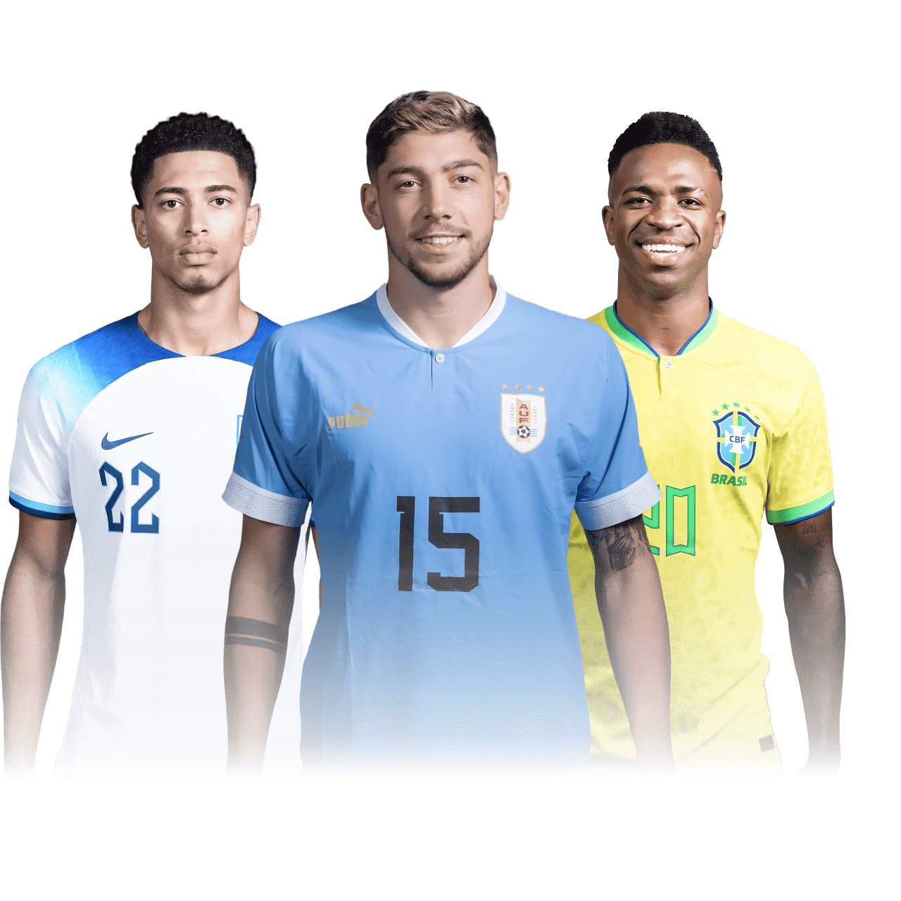 周末沙发土豆